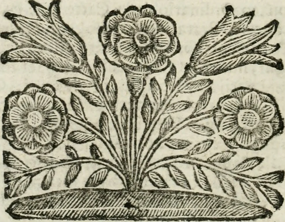 An illustration from Il ritratto di Milano : diuiso in tre libri, 1674, leaf 375