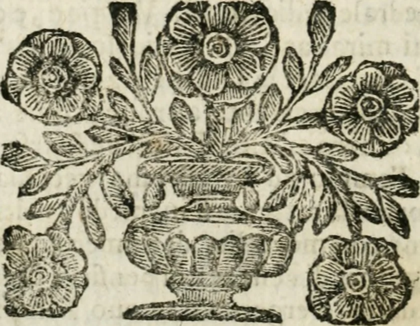 An illustration from Il ritratto di Milano : diuiso in tre libri, 1674, leaf 429