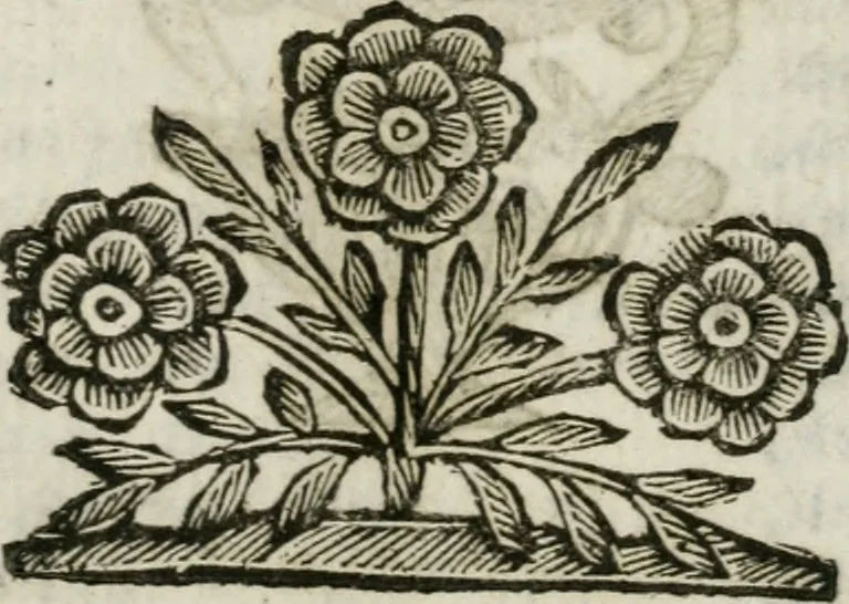 An illustration from Il ritratto di Milano : diuiso in tre libri, 1674, leaf 450