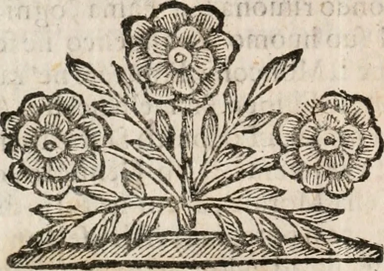 An illustration from Il ritratto di Milano : diuiso in tre libri, 1674, leaf 57