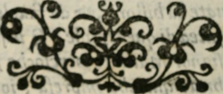 An illustration from Il Rota overo dell'imprese : dialogo, 1562, leaf 235