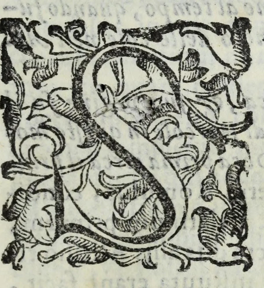 An illustration from Il Rusco, ouero, Dell'historia della famiglia Rusca libri tre, 1610, leaf 157