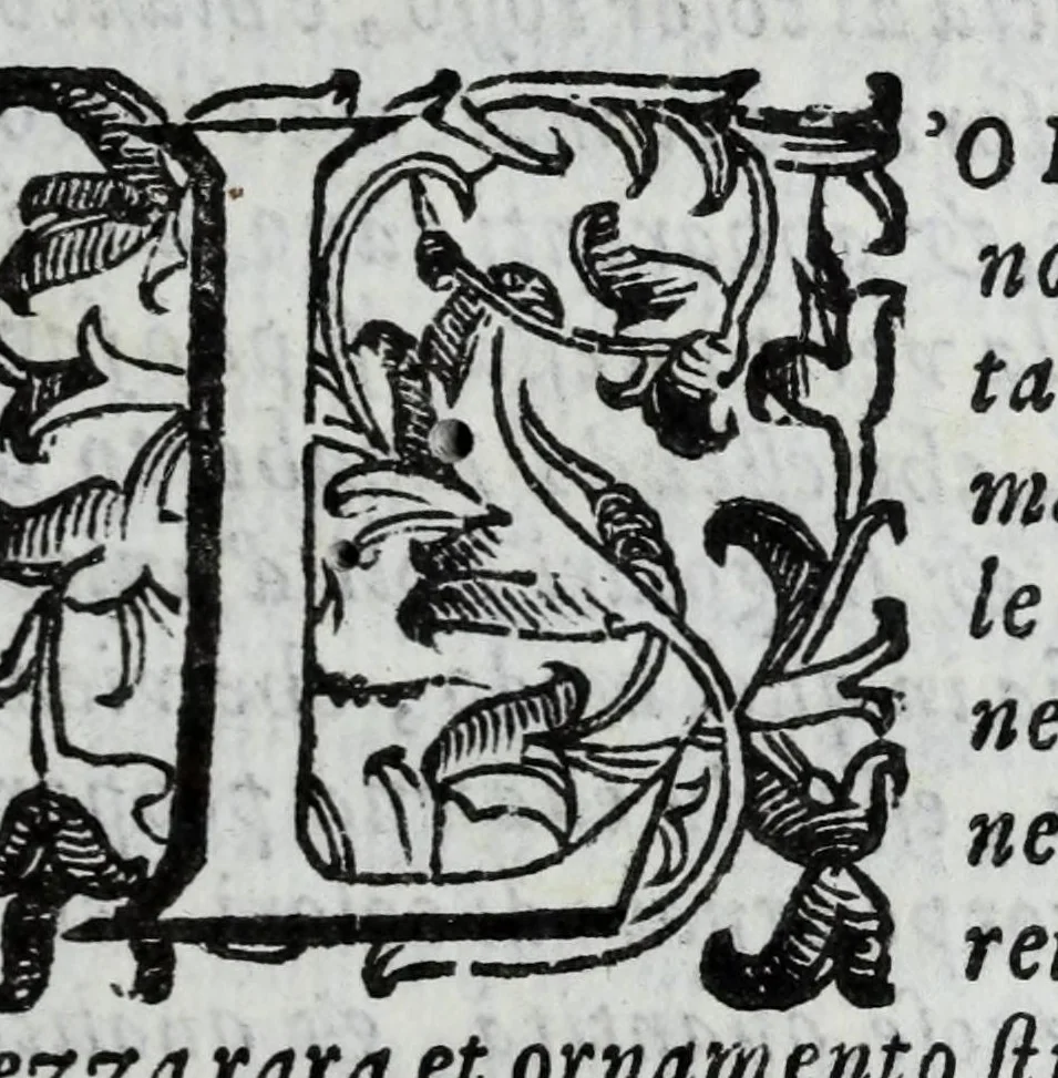 An illustration from Il Rusco, ouero, Dell'historia della famiglia Rusca libri tre, 1610, leaf 41