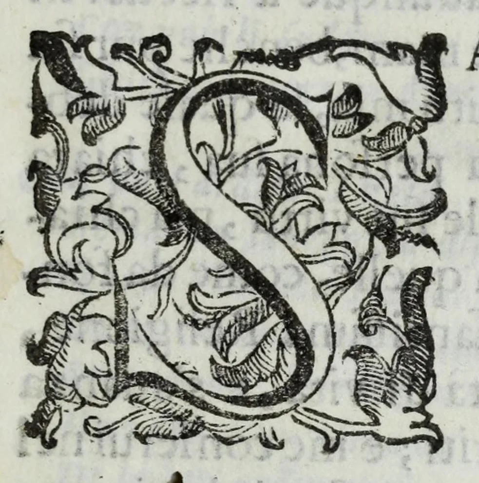 An illustration from Il Rusco, ouero, Dell'historia della famiglia Rusca libri tre, 1610, leaf 7