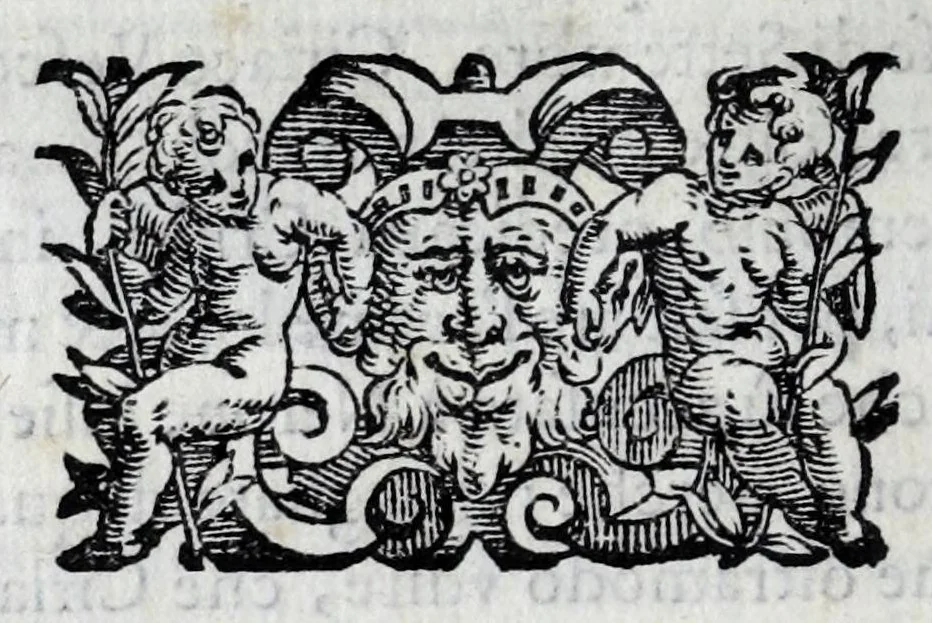 An illustration from Il santoario di Parma doue si hanno tutte le vite de' corpi santi, & de' beati, 1593, leaf 64