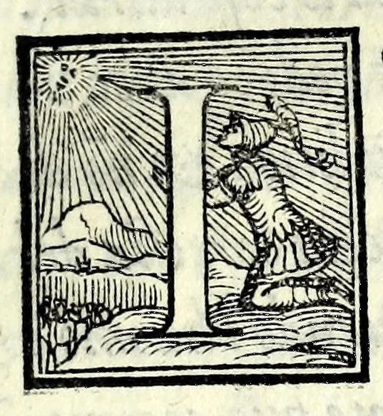An illustration from Il sensale : comedia, 1561, leaf 7