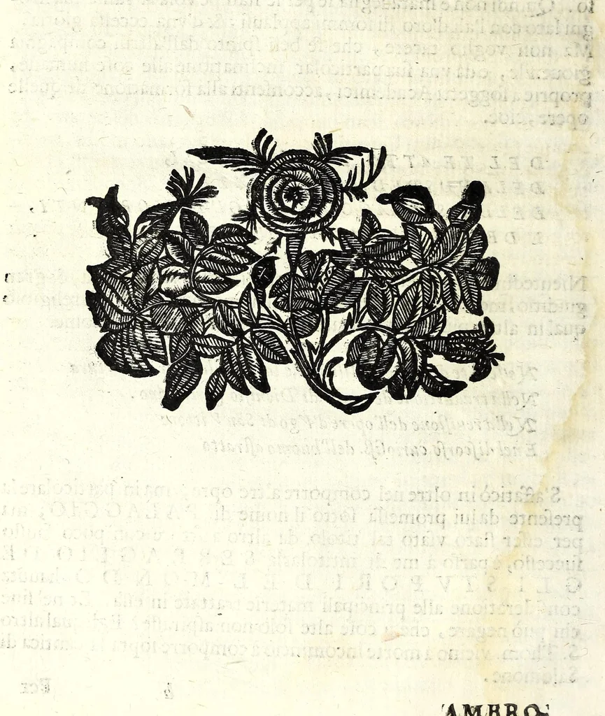 An illustration from Il serraglio de gli stupori del mondo, di Tomaso Garzoni da Bagnacavallo : diuiso in diece appartamenti, secondo i vari, & ammirabili oggetti : cioè di mostri, prodigii, prestigii ... : narrate da' più celebri scrittori, e descritte da' più famosi historici, e poeti, le quali talhora occorrono, considerandosi la loro probabilità, overo improbabilità, secondo la natura ..., 1613, leaf 12