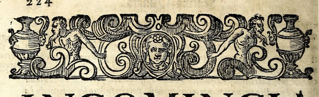 An illustration from Il serraglio de gli stupori del mondo, di Tomaso Garzoni da Bagnacavallo : diuiso in diece appartamenti, secondo i vari, & ammirabili oggetti : cioè di mostri, prodigii, prestigii ... : narrate da' più celebri scrittori, e descritte da' più famosi historici, e poeti, le quali talhora occorrono, considerandosi la loro probabilità, overo improbabilità, secondo la natura ..., 1613, leaf 286