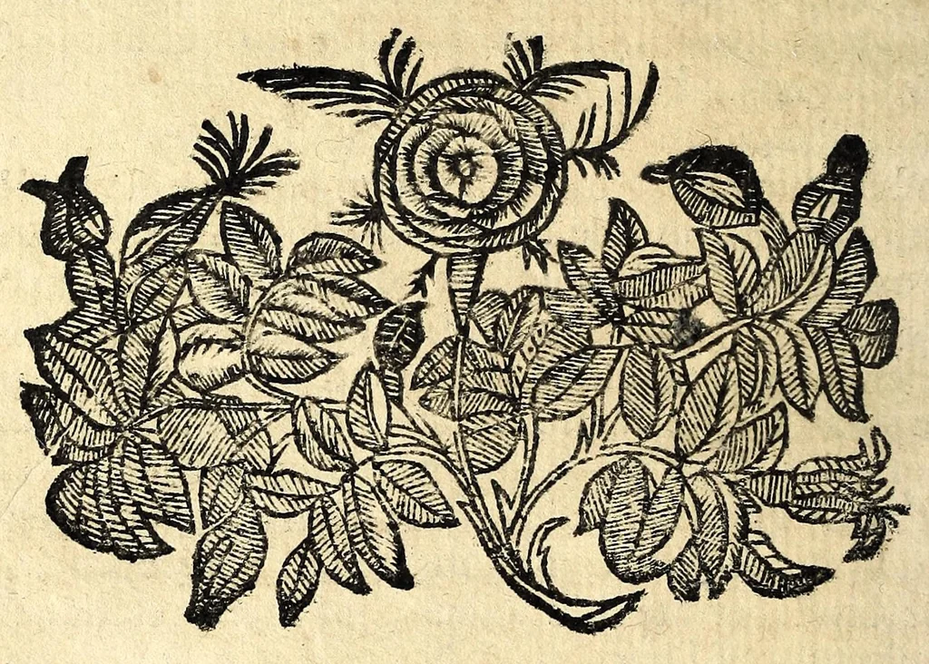 An illustration from Il serraglio de gli stupori del mondo, di Tomaso Garzoni da Bagnacavallo : diuiso in diece appartamenti, secondo i vari, & ammirabili oggetti : cioè di mostri, prodigii, prestigii ... : narrate da' più celebri scrittori, e descritte da' più famosi historici, e poeti, le quali talhora occorrono, considerandosi la loro probabilità, overo improbabilità, secondo la natura ..., 1613, leaf 468