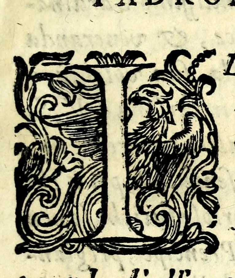 An illustration from Il serraglio de gli stupori del mondo, di Tomaso Garzoni da Bagnacavallo : diuiso in diece appartamenti, secondo i vari, & ammirabili oggetti : cioè di mostri, prodigii, prestigii ... : narrate da' più celebri scrittori, e descritte da' più famosi historici, e poeti, le quali talhora occorrono, considerandosi la loro probabilità, overo improbabilità, secondo la natura ..., 1613, leaf 5