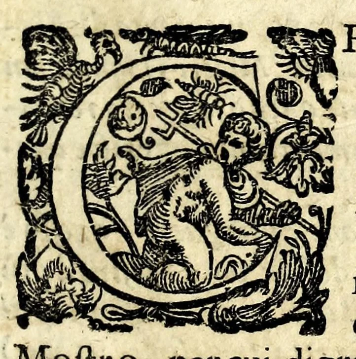 An illustration from Il serraglio de gli stupori del mondo, di Tomaso Garzoni da Bagnacavallo : diuiso in diece appartamenti, secondo i vari, & ammirabili oggetti : cioè di mostri, prodigii, prestigii ... : narrate da' più celebri scrittori, e descritte da' più famosi historici, e poeti, le quali talhora occorrono, considerandosi la loro probabilità, overo improbabilità, secondo la natura ..., 1613, leaf 63