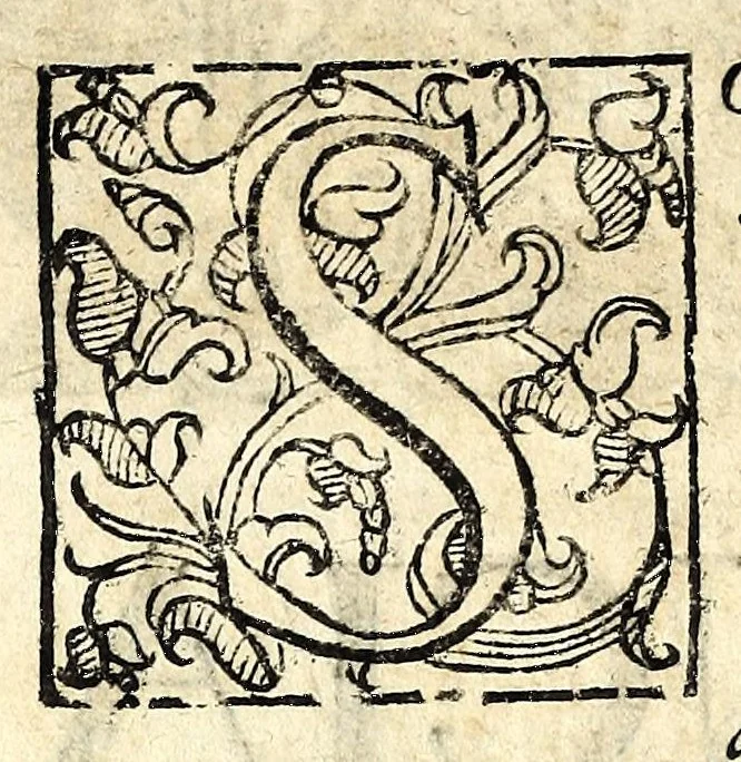 An illustration from Il serraglio de gli stupori del mondo, di Tomaso Garzoni da Bagnacavallo : diuiso in diece appartamenti, secondo i vari, & ammirabili oggetti : cioè di mostri, prodigii, prestigii ... : narrate da' più celebri scrittori, e descritte da' più famosi historici, e poeti, le quali talhora occorrono, considerandosi la loro probabilità, overo improbabilità, secondo la natura ..., 1613, leaf 64