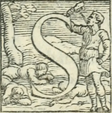 An illustration from Il servigiale, 1561, leaf 12