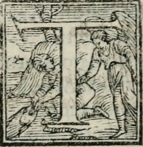 An illustration from Il servigiale, 1561, leaf 31