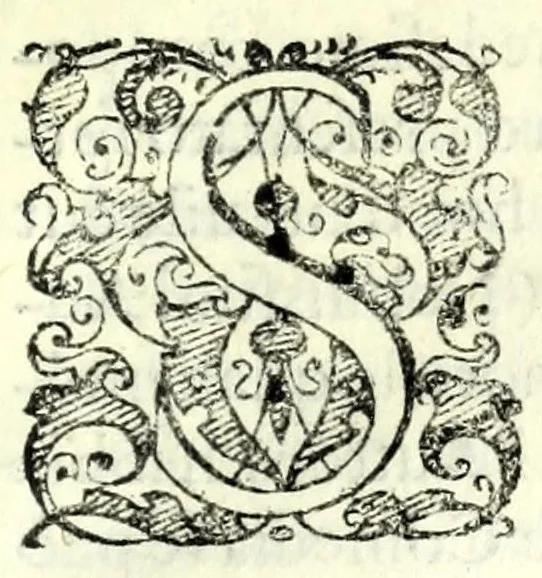 An illustration from Il servo fedele : comedia nvova, 1586, leaf 11