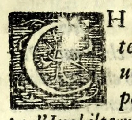 An illustration from Il servo fedele : comedia nvova, 1586, leaf 41