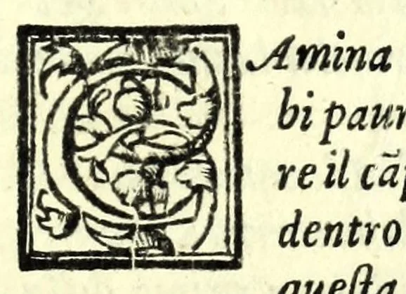 An illustration from Il servo fedele : comedia nvova, 1586, leaf 59