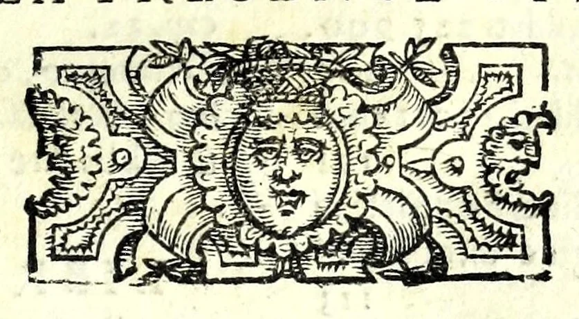 An illustration from Il soldato, 1570, leaf 17