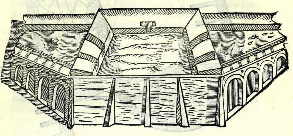 An illustration from Il soldato, 1570, leaf 221