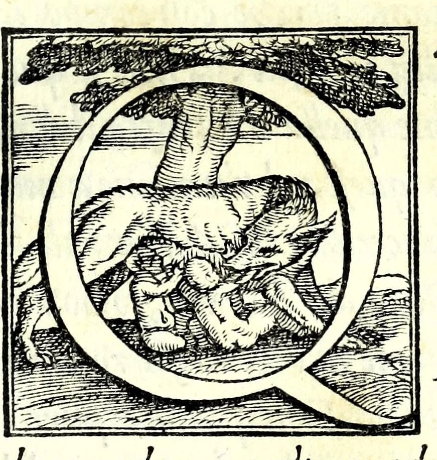 An illustration from Il soldato, 1570, leaf 9