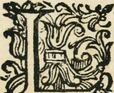 An illustration from Il Solimano : tragedia, 1620, leaf 13