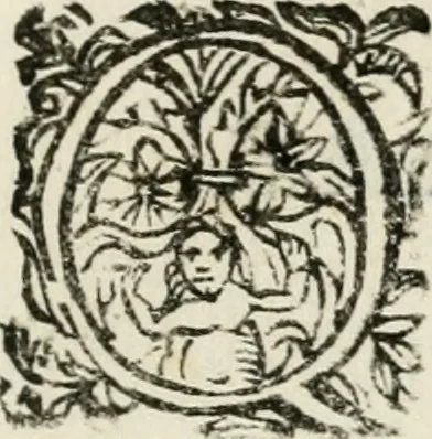 An illustration from Il Solimano : tragedia, 1620, leaf 16