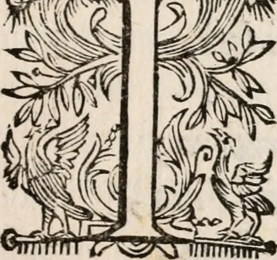 An illustration from Il Solimano : tragedia, 1620, leaf 20