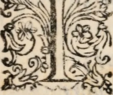 An illustration from Il Solimano : tragedia, 1620, leaf 52