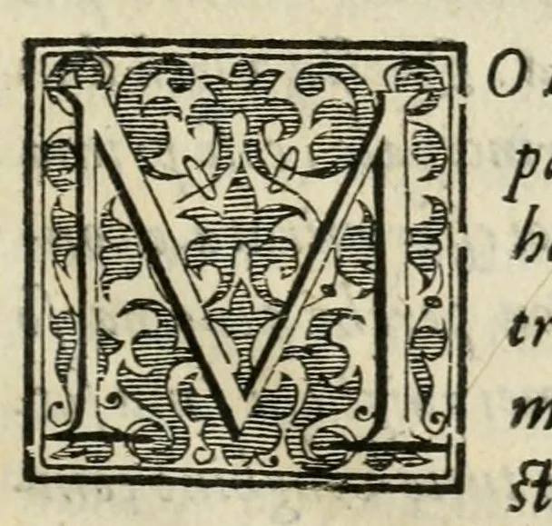 An illustration from Il svperbo torneo fatto nella regia città di Pavia, il carneuale del 1587, 1587, leaf 5