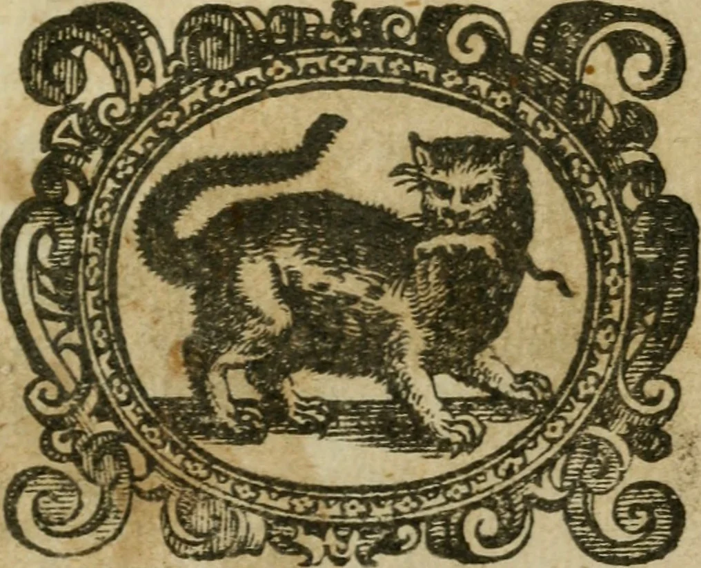 An illustration from Il Tancredi : tragedia, 1614, leaf 4