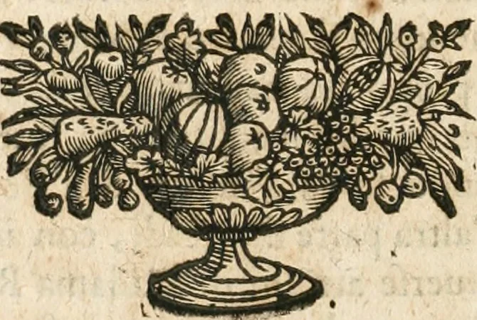 An illustration from Il teatro del dolore : apparato funebre fatto nel duomo di Torino dall'Altezza Reale di Carlo Emanuele II. duca di Sauoia ... alle Altezze Reali di Christina di Francia sua madre e Francesca di Borbone sua sposa, alli 3. e 4. di marzo M.DC.LXIV, 1664, leaf 23