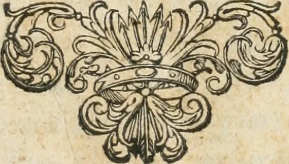An illustration from Il teatro del dolore : apparato funebre fatto nel duomo di Torino dall'Altezza Reale di Carlo Emanuele II. duca di Sauoia ... alle Altezze Reali di Christina di Francia sua madre e Francesca di Borbone sua sposa, alli 3. e 4. di marzo M.DC.LXIV, 1664, leaf 4