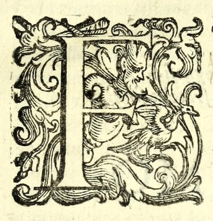 An illustration from Il teatro delle fauole rappresentatiue, overo, La ricreatione comica, boscareccia, e tragica : divisa in cinqvanta giornate, 1611, leaf 21