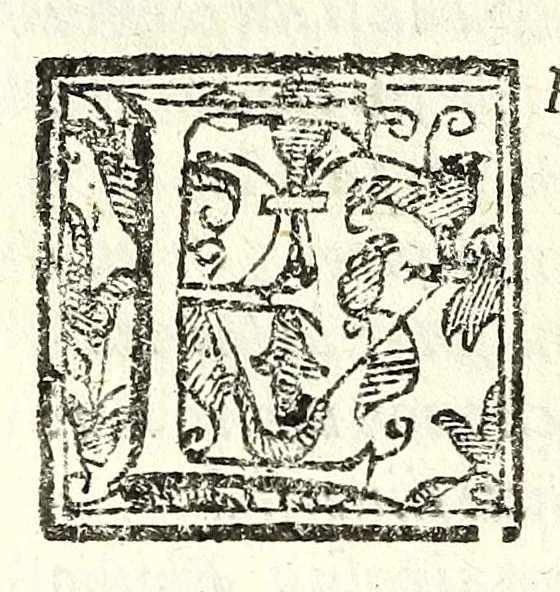 An illustration from Il teatro delle fauole rappresentatiue, overo, La ricreatione comica, boscareccia, e tragica : divisa in cinqvanta giornate, 1611, leaf 220