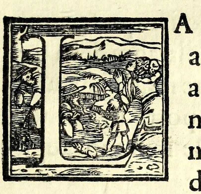 An illustration from Il teatro delle fauole rappresentatiue, overo, La ricreatione comica, boscareccia, e tragica : divisa in cinqvanta giornate, 1611, leaf 7