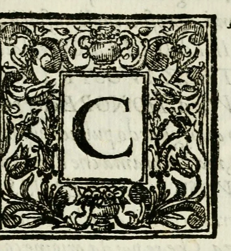 An illustration from Il teatro dell' honore : academia mista d' essercitij letterari e cauallereschi, solita celebrarsi sù 'l fine dell'anno in Collegio de' nobili di Parma per rimeritare quei signori convittori, che nello studio delle lettere e dell'arti caualleresche si sono sopra gli altri segnalati, tenuta quest'anno 1673, li 20. agosto e dedicata all' Altezza Serenissima di Ranuccio II, duca di Parma, &c, 1673, leaf 7
