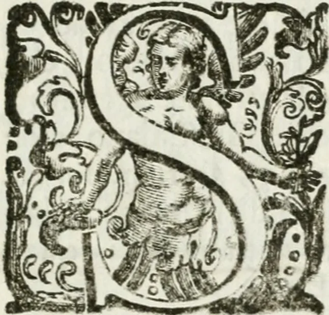 An illustration from Il Teatro d' onore, aperto li 10. agosto di quest' anno 1686 nel Collegio de' nobili di Parma : per rimeritare que' signori convittori che nello studio delle lettere e delle arti caualleresche si sono sopra gli altri segnalati, 1686, leaf 6
