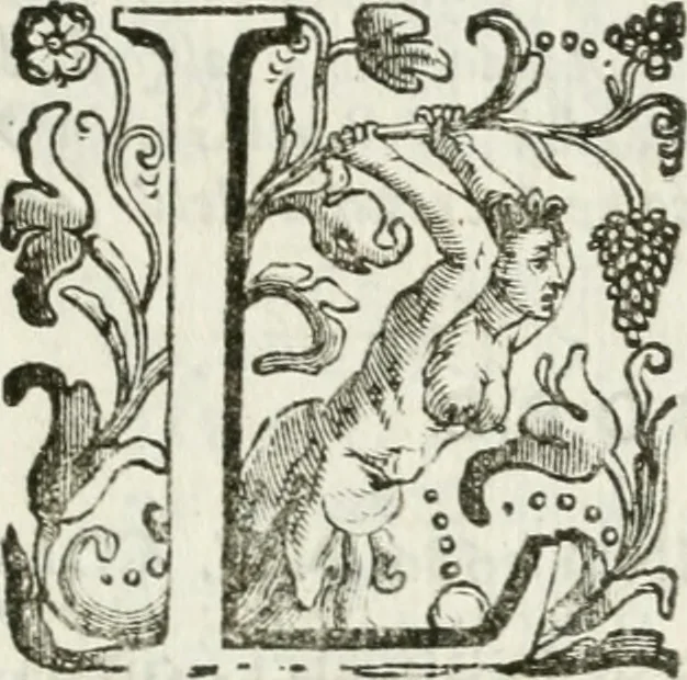 An illustration from Il Teatro d' onore, aperto li 10. agosto di quest' anno 1686 nel Collegio de' nobili di Parma : per rimeritare que' signori convittori che nello studio delle lettere e delle arti caualleresche si sono sopra gli altri segnalati, 1686, leaf 8