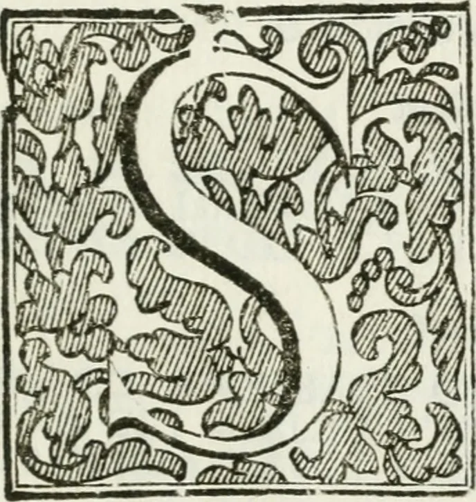 An illustration from Il Teatro d'onore : aperto li 10. agosto di quest'anno 1694 nel Ducale collegio de' nobili di Parma, per rimeritare que' signori convittori, che nello studio delle lettere e delle arti cavalleresche si sono sopra gli altri segnalati, e consacrato all' Altezza Serenissima di Ranuccio II, duca di Parma, Piacenza, &c, 1694, leaf 10