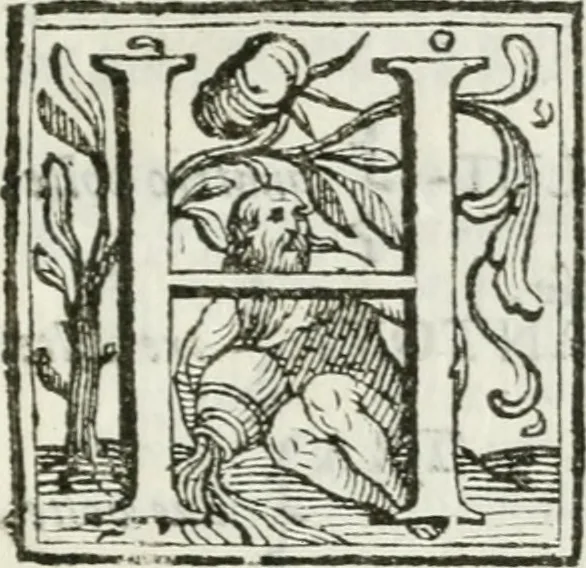 An illustration from Il Teatro d'onore : aperto li 10. agosto di quest'anno 1694 nel Ducale collegio de' nobili di Parma, per rimeritare que' signori convittori, che nello studio delle lettere e delle arti cavalleresche si sono sopra gli altri segnalati, e consacrato all' Altezza Serenissima di Ranuccio II, duca di Parma, Piacenza, &c, 1694, leaf 18
