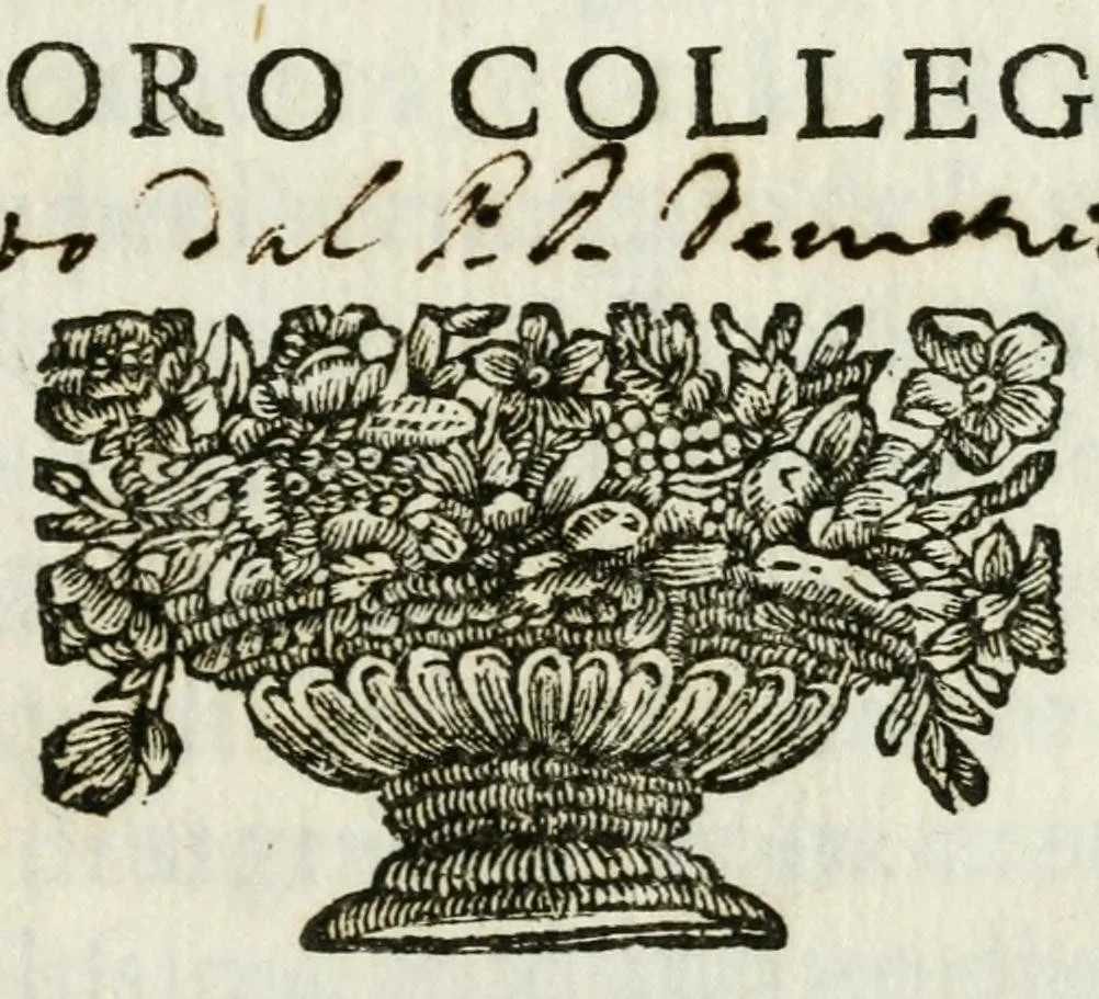 An illustration from Il tempio delle virtù : apparato fatto dagl'illustrissimi abati e Collegio de signori conti e cauallieri giurisconsulti, per applaudere alla porpora dell' eminentissimo sig. cardinale Ferdinando d'Adda loro collega, 1690, leaf 3