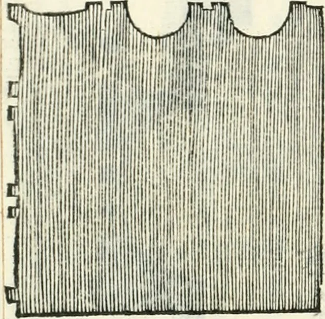 An illustration from Il terzo libro : nel qval si figvrano, e descrivono le antiqvita di Roma, e le altre che sono in Italia e fvori d'Italia ..., 1540, leaf 107