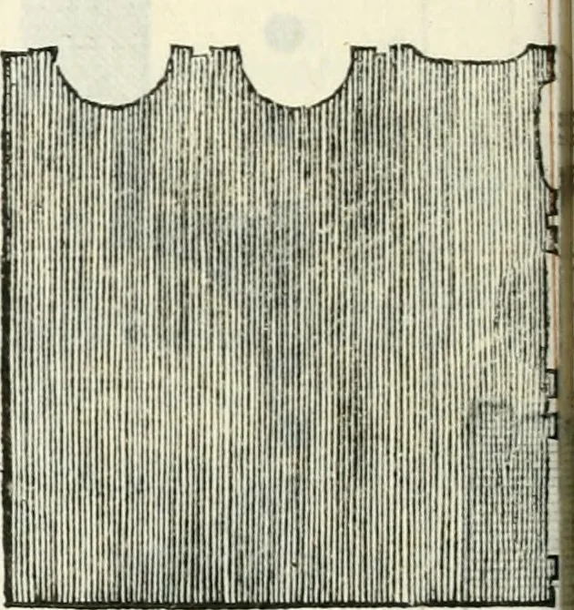An illustration from Il terzo libro : nel qval si figvrano, e descrivono le antiqvita di Roma, e le altre che sono in Italia e fvori d'Italia ..., 1540, leaf 107