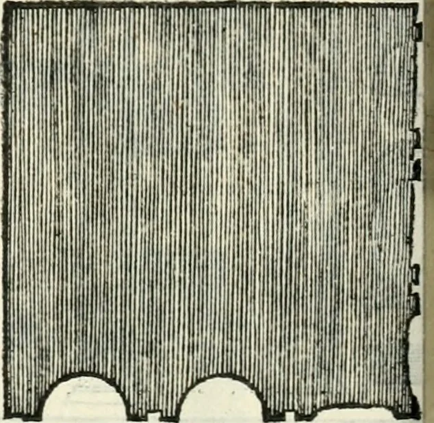 An illustration from Il terzo libro : nel qval si figvrano, e descrivono le antiqvita di Roma, e le altre che sono in Italia e fvori d'Italia ..., 1540, leaf 107
