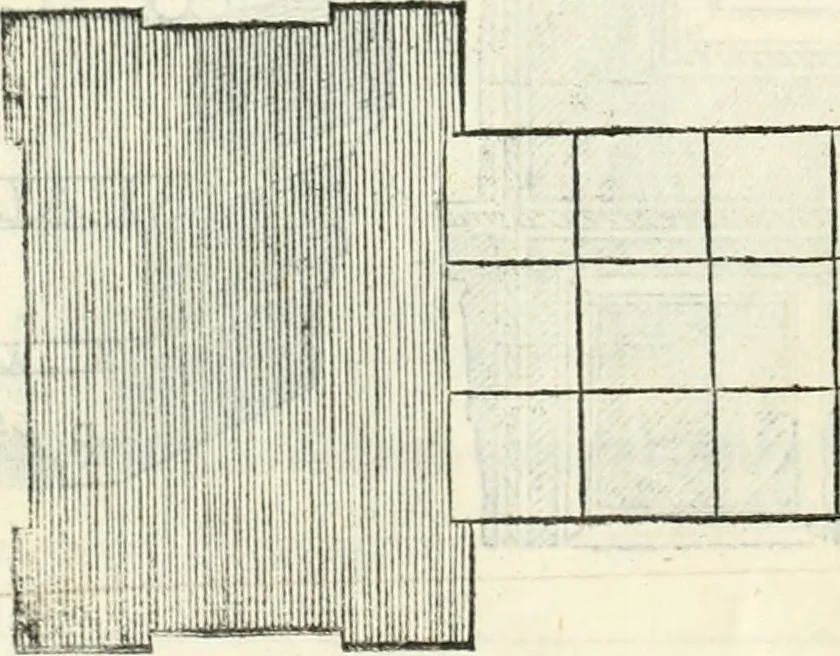 An illustration from Il terzo libro : nel qval si figvrano, e descrivono le antiqvita di Roma, e le altre che sono in Italia e fvori d'Italia ..., 1540, leaf 113