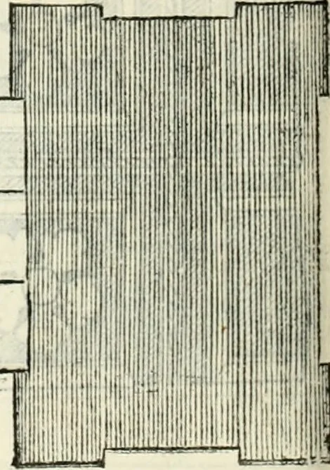 An illustration from Il terzo libro : nel qval si figvrano, e descrivono le antiqvita di Roma, e le altre che sono in Italia e fvori d'Italia ..., 1540, leaf 113