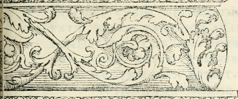 An illustration from Il terzo libro : nel qval si figvrano, e descrivono le antiqvita di Roma, e le altre che sono in Italia e fvori d'Italia ..., 1540, leaf 114