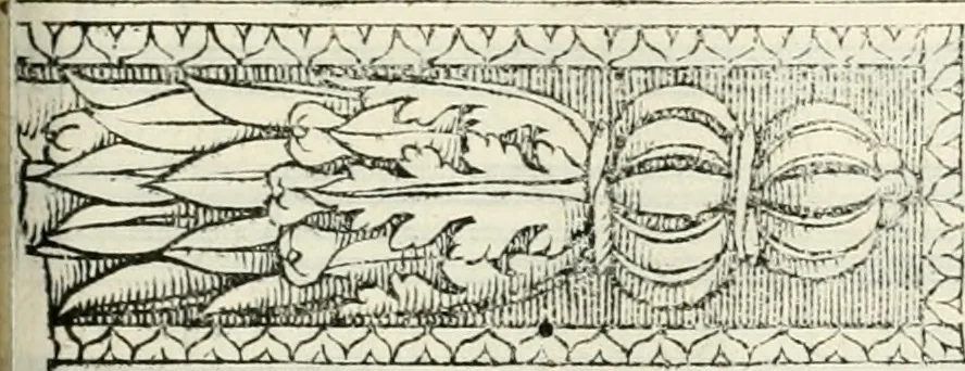 An illustration from Il terzo libro : nel qval si figvrano, e descrivono le antiqvita di Roma, e le altre che sono in Italia e fvori d'Italia ..., 1540, leaf 114