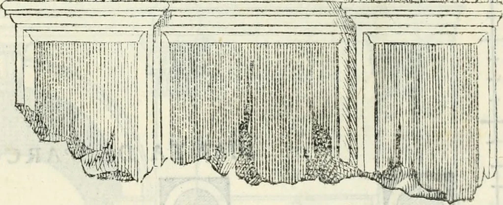An illustration from Il terzo libro : nel qval si figvrano, e descrivono le antiqvita di Roma, e le altre che sono in Italia e fvori d'Italia ..., 1540, leaf 114
