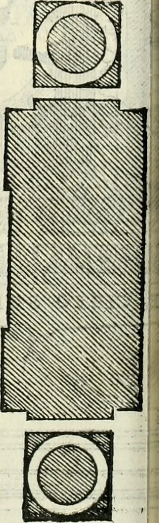 An illustration from Il terzo libro : nel qval si figvrano, e descrivono le antiqvita di Roma, e le altre che sono in Italia e fvori d'Italia ..., 1540, leaf 115